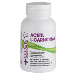 +watt Acetil L-Carnitina+ 90 Capsule
